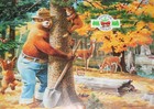 Vtg 1994 Smokey Bear Poster  happy 50th Smokey  Rudolph Wendelin Drawing -paper