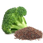 Organic Non-gmo Broccoli Seeds Sprouting Sprouts Microgreens 4oz Of Pure  new 