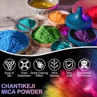 Mica Powder  63 Colors - 10g bottle Natural Pigment Powder