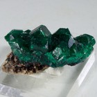Top Quality Dioptase Miniature - Democratic Republic Of Congo 