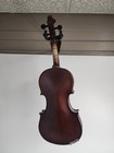 Cecilio Musical Instruments Violin  p24030120 