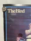 Converse Larry Bird  the Bird  Poster 17 x23 