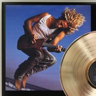 Sammy Hagar - Self Title Gold Lp Record Plaque Display