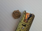 Vintage Grf Order Of Pythian Sisters Pin - 40 Year Service Pin