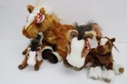 Ty Beanie Buddy Oats And Trotter The Horse Lot Of 4 W  Tag Nos