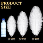 90 Pcs Large Natural Ostrich Feathers Bulk 14-16 Inch 35-40cm 12-14 Inch 30-3   