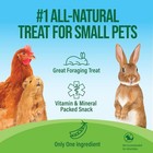 - Pea Flakes  Treats For Rabbit Bunny  Guinea Pig  Chickens  Bunny  Hamster     