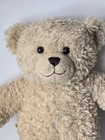 Build A Bear Plus Curly Bear  Build A Bear Approx 16  