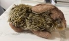 Vtg Steiff 2965 20 Rabbit Hase Lying Down Plush Stuffed Animal W  Tag   Button