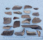 20 Fossil Megaloceros Irish Elk Antler Pieces Germany Poland North Sea Saber Lot