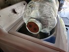 Vintage Large Libby 5 Gallon Glass Pig Piggy Jar Ban