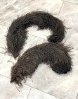 Lot 2  Antique 1900s Gibson Girl Black Ostrich Feather Millinery Lg Hat Plumes
