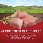 Purina One Smartblend Natural Dry Dog Food With Chicken   Rice - 16 5lbs