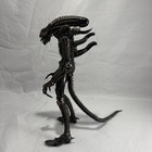 Neca 7  Alien Xenomorph Warrior  brown  Action Figure 