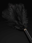 Honey Birdette Signature Series Feather Tickler Tickler Black Size One Size