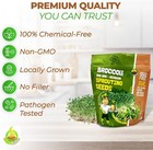 Todd s Seeds Broccoli And Friends Sprouting Seed Mix  1 4 Pound  Red 