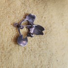 Native American Sterling Silver Turquoise Inlay Bird Brooch Pin For Women