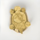 Cloud B Twilight Turtle Night Light - Projects Stars In Brown