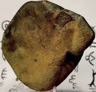 Native American Indian Authentic Artifact Stone Carved Effigy  1 Lb 3 Oz     Va