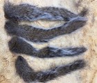Squirrel Tails For Crafts  Fly Tying