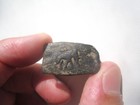 India Taxila Copper Unit Lion-elephant