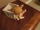 Vintage Napco Ceramic Baby   Block Planter   Nursery Decor   Shower Gift