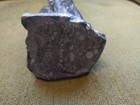 Beautiful Polished Orthoceras Fossilized Cephalopods 10-3 4  Tall  Morocco