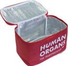 Human Organs Lunch Bag - Insulated School Cooler Gag Joke - E m t Medical Prop
