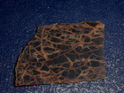 Spiderman Jasper Slab --2 3 4   X  1 7 8   Rough  Cabbing - Display   Science
