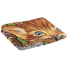 Crazy Cats Tapestry Throw Blanket With Fringed Edge  42 X 54 Inch