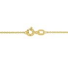 Amour 14k Yellow Gold 1mm Round Cable Chain Necklace - 16 In 