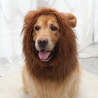 Funny Cute Lion Mane Wig Hat Spoof Costume Cosplay For Puppies Dogs