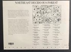 U s  Stamps Sc  3889  Ne Deciduous Forest  Nature Of America  37   Sheet Of 10