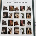 Forever Stamps Usps 8 Books Sheets Christmas Card Flowers Animals Birds