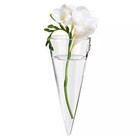 Set 2 Clear Circular Cone Glass Wall Hanging Vase Flower Vase Bottle For Plant