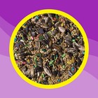 3-d Pet Products Premium Cockatiel Bird Food Seeds  With Probiotics  4 5 Lb