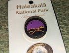 Haleakala National Park Travel Souvenir Lapel Pin Maui Hawaii 2007