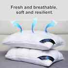 2 Pcs Luxury Hotel Quality Pillow  19x29 Inches  Premium Down Alternative Fill