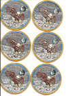 Apollo 11 Original Nasa Launch Team Mission Patch - Lion Brothers