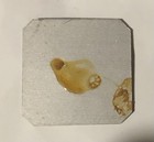 Mir Space Station  A Small Object From The Space Station