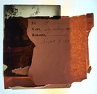 1895 Antique Dog Photo Glass Negative Sitting Up