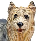 Vintage Mid-century Italian Ronzan Style Plaster Yorkie Figurine Enamel 16 5 