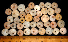  42  Select Sahara Neolithic Quartz Disk Beads  Prehistoric African Beads