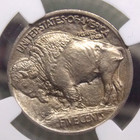 1913  p  Indian Head Buffalo Nickel  type 1  5c Ngc Ms64  011 Unc Bu Ecc c  Inc 