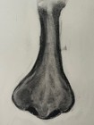  Original Charcoal Sketches  Art  Drawings  9 Inch X 12 Inch