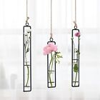 Hanging Glass Planter Water Iron Art Hydroponic Vase Transparent Test Tube Fl   