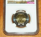 Canada 2019  2 Ngc Ms67 Ms 67 Polar Bear First Releases Toonie Two Graded Coin