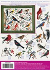 Anita Goodesign Song Birds Embroidery Machine Design Cd New 156aghd