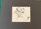 Wire Fox Terrier Head - Matted   Framed   Ready To Gift - 1963 Vintage Dog Print