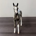 Peter Stone Horse Fresh Water Traditional Scale Arabian Foal Le-12 By Dawn Quick